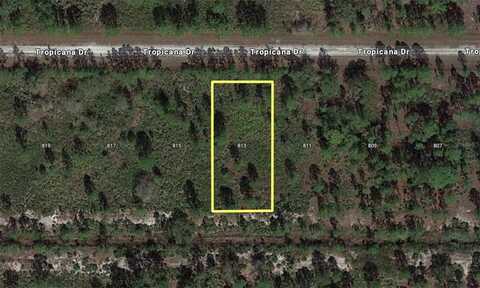 813 TROPICANA DRIVE, INDIAN LAKE ESTATES, FL 33855