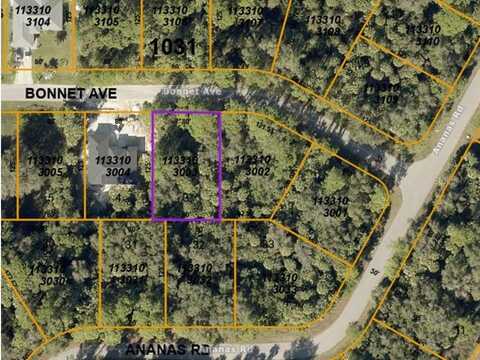 Lot 3 BONNET AVENUE, NORTH PORT, FL 34288