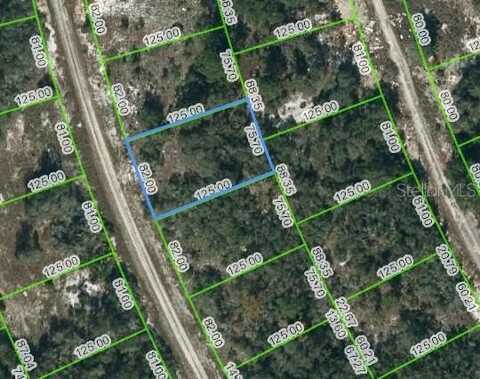 217 BLUE SKY DRIVE, LAKE PLACID, FL 33852