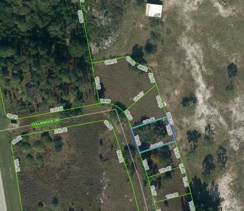 132 COLLINWOOD DRIVE, LAKE PLACID, FL 33852