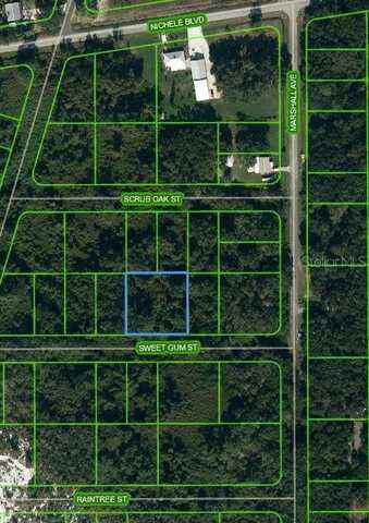 1510 SWEET GUM STREET, LAKE PLACID, FL 33852