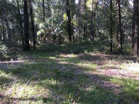 Tbd SW 109TH AVENUE, GAINESVILLE, FL 32608