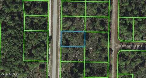 1129 Western BOULEVARD, LAKE PLACID, FL 33852