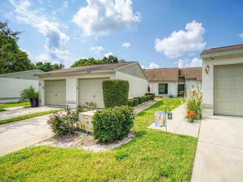 11743 SPRING TREE LANE, PORT RICHEY, FL 34668