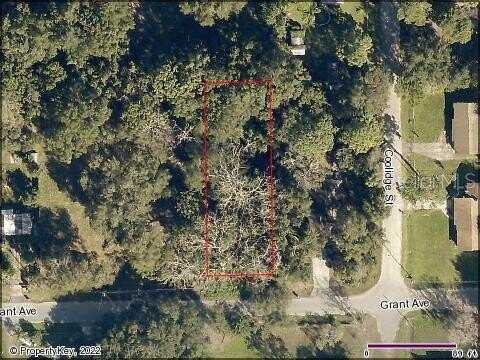 GRANT AVENUE, EUSTIS, FL 32726