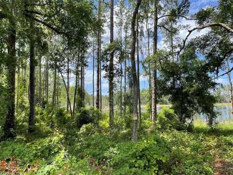 Tbd SE 49TH ST ROAD, OCKLAWAHA, FL 32179