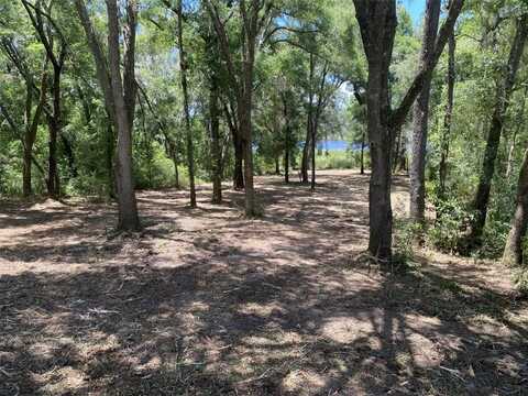 163 & 164 SW SHOREWOOD DRIVE, DUNNELLON, FL 34431