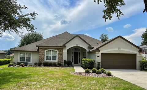 32313 OAK CANOPY DRIVE, SORRENTO, FL 32776