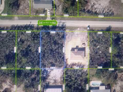 439 DETROIT ROAD, LAKE PLACID, FL 33852