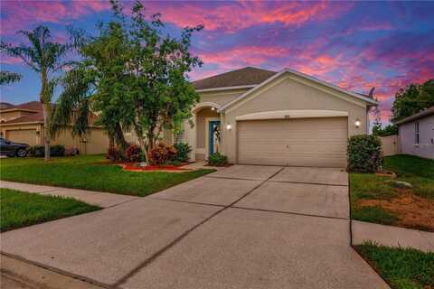 3145 DOWNAN POINT DRIVE, LAND O LAKES, FL 34638