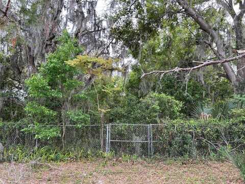 10736 BUCK ROAD, ORLANDO, FL 32817