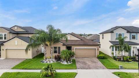 13221 SATIN LILY DRIVE, RIVERVIEW, FL 33579