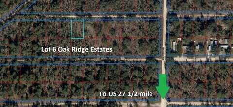 NE 66TH LANE, WILLISTON, FL 32696