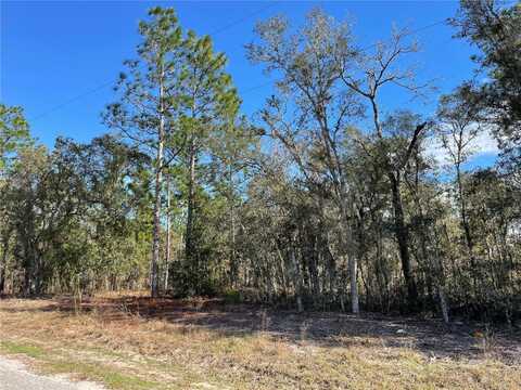 139TH STREET ROAD ROADS, OCALA, FL 34473