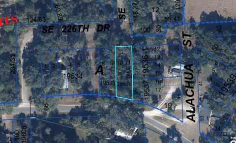 00000 SE 65TH LANE, HAWTHORNE, FL 32640