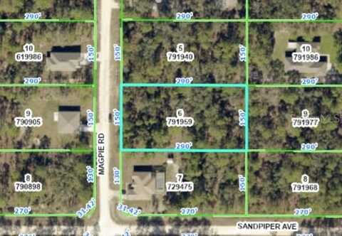 MAGPIE ROAD, WEEKI WACHEE, FL 34614