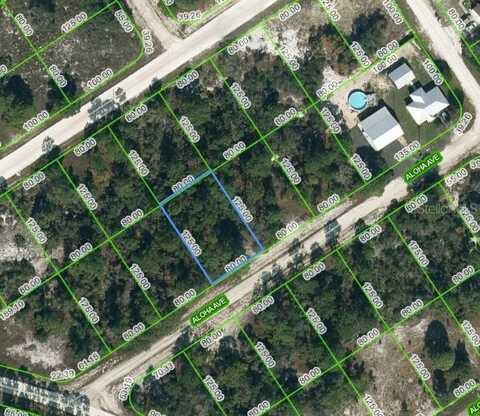 450 ALOHA AVENUE, LAKE PLACID, FL 33852