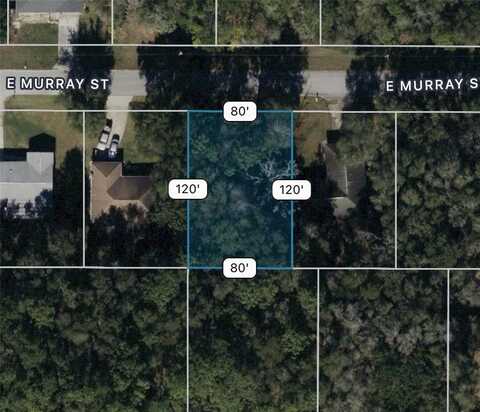 3404 E MURRAY STREET, INVERNESS, FL 34453