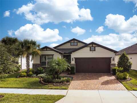 19163 COASTAL SHORE TERRACE, LAND O LAKES, FL 34638