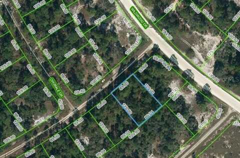 391 CARTIER AVENUE, LAKE PLACID, FL 33852