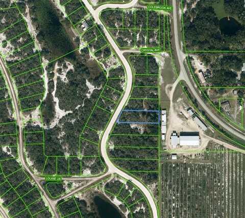 217 LAKELAND DRIVE, LAKE PLACID, FL 33852