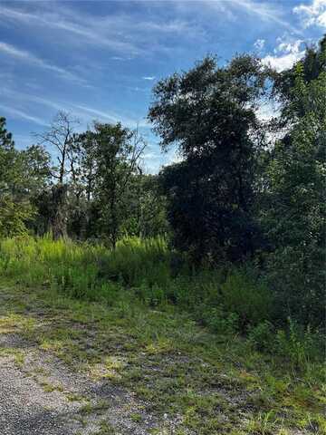 00 SE 135 COURT, DUNNELLON, FL 34431