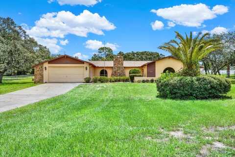 17848 MONTEVERDE DRIVE, SPRING HILL, FL 34610