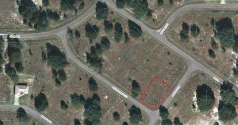 00 GUAVA TERRACE COURT, OCKLAWAHA, FL 32179