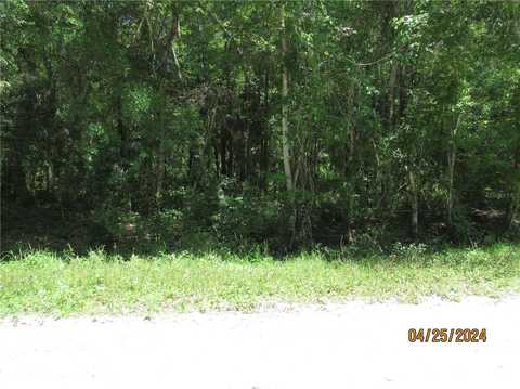 4062 WALNUT AVENUE, BUNNELL, FL 32110