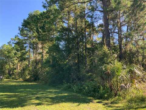 SUANEE AVENUE, EUSTIS, FL 32726