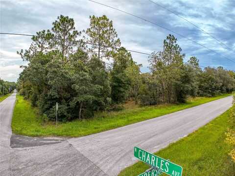 3011 E ANDERSON STREET, INVERNESS, FL 34453