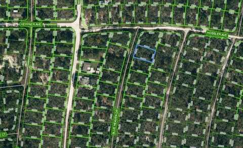 325 BLUE HEAVEN DRIVE, LAKE PLACID, FL 33852