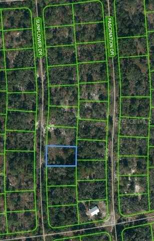 249 SUNFLOWER AVENUE, LAKE PLACID, FL 33852