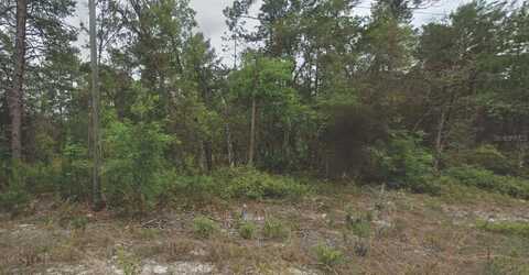 120 NEW YORK AVENUE, SATSUMA, FL 32189