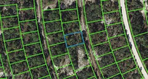 378 Chorale DRIVE, LAKE PLACID, FL 33852