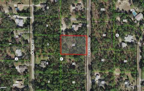 770 N HEATHROW DRIVE, LECANTO, FL 34461