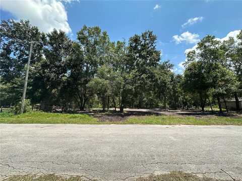 0 SAINT JOHNS ROAD, LAND O LAKES, FL 34638