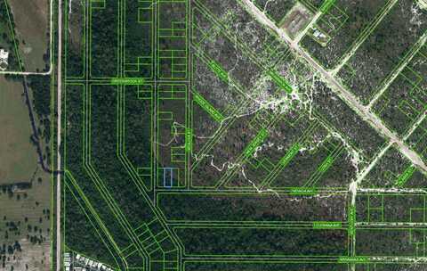 504 NEVADA AVENUE, LAKE PLACID, FL 33852