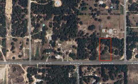 4787 W CARDINAL STREET, HOMOSASSA, FL 34446