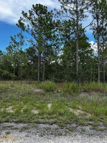 00 SE 131 TERRACE, DUNNELLON, FL 34431