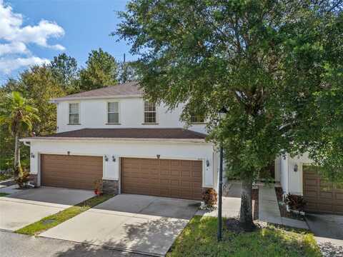 8625 ANDALUCIA FIELD DRIVE, TEMPLE TERRACE, FL 33637