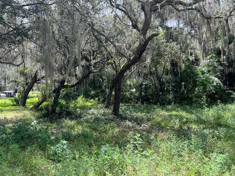 CR 448, LAKE PANASOFFKEE, FL 33538