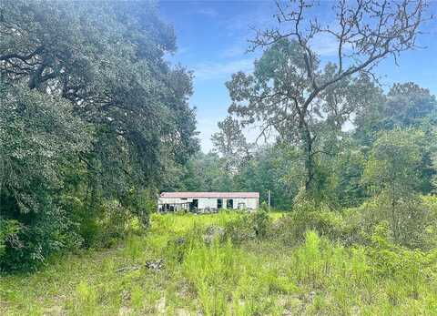 6651 NE 122ND AVENUE, WILLISTON, FL 32696