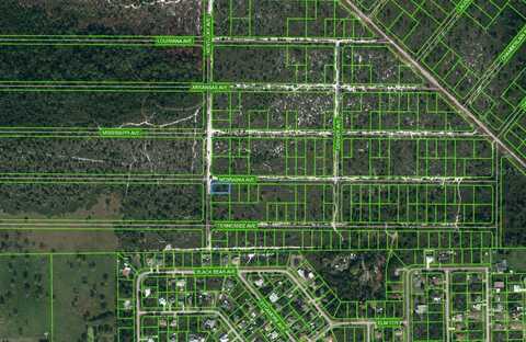 511 KENTUCKY AVENUE, LAKE PLACID, FL 33852