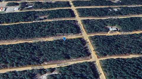 Tbd NEISMAN AVENUE, INTERLACHEN, FL 32148