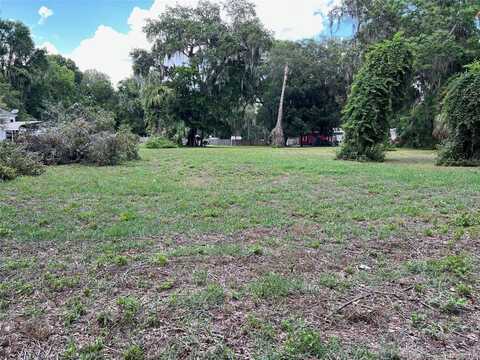 COUNTY ROAD 434B, LAKE PANASOFFKEE, FL 33538