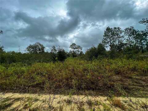 5451 NE 141 TERRACE, WILLISTON, FL 32696