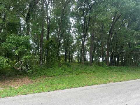 0 SW 168TH LOOP, OCALA, FL 34473