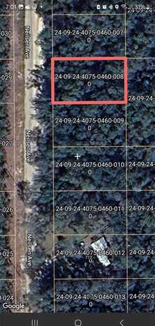 Tbd NEILSEN AVENUE, INTERLACHEN, FL 32148