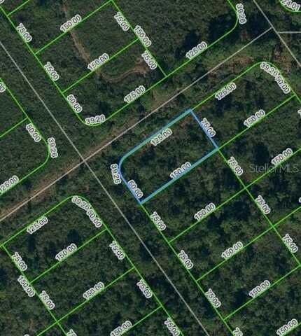 569 KENNEDY STREET, LAKE PLACID, FL 33852